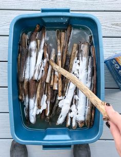 a person holding a wooden spoon in a blue container filled with ice and cinnamon sticks