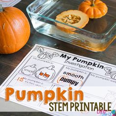 Small Group Halloween Activities, Pumpkin Science Preschool, 4h Clover, Pumpkin Investigation, Nanny Activities, Pumpkin Science