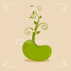 a green plant with white flowers in the shape of a heart on a beige background