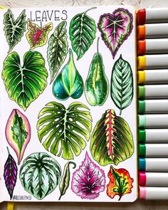 a notebook with lots of different colored leaves on it and some crayons next to it