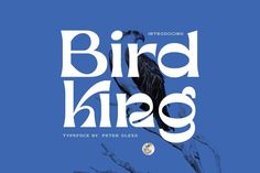 the bird king typeface is displayed on a blue background with white letters and an eagle perched on a branch