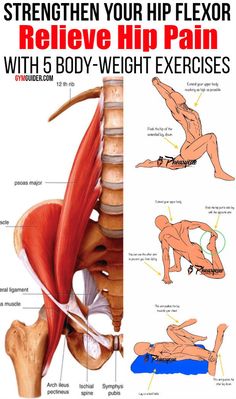 the hip flexor diagram shows how to use it for back pain and shoulder exercises