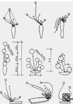 the diagram shows how to draw flowers in vases