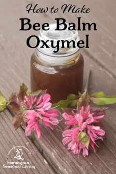 Make bee balm oxymel from flowers and leaves for a tasty and easy way to find relief from colds and sore throats later this year. Seasonal Living, Herbal Recipes, Natural Healing Remedies, Bee Balm, Diy Remedies, Cold Home Remedies, Natural Therapy, Homemade Remedies, Healing Herbs