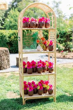 a wooden shelf filled with potted plants on top of grass