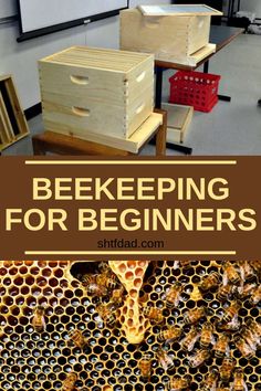 beekeepers working on their hives with the words bee keeping for beginners