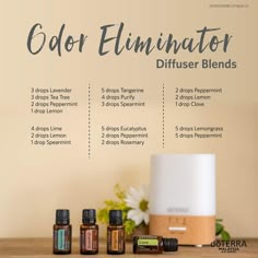 Essential Oils For Cleaning, Oils For Diffuser, Doterra Diffuser Blends, Essential Oil Combinations, Doterra Essential Oils Recipes, Essential Oil Diffuser Blends Recipes, Young Living Essential Oils Recipes, Essential Oils Guide, Essential Oil Spray