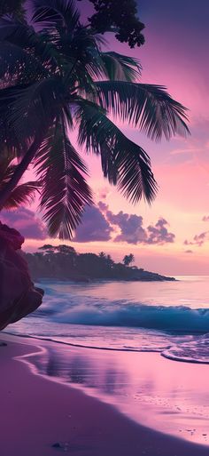 a palm tree on the beach at sunset with pink sky and water in the background