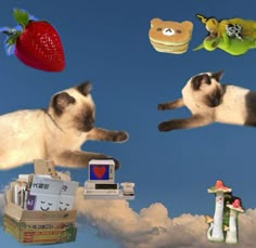 two siamese cats in the sky with some toys and food around them, one cat is jumping up into the air