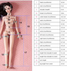 the measurements for a doll's body and head are shown in this diagram,