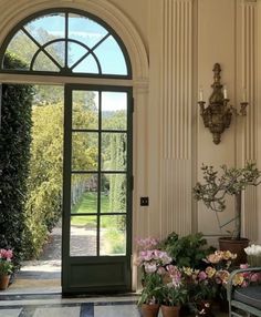 an open door leading into a garden with potted plants