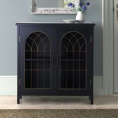 a black cabinet with two glass doors and a mirror on the wall above it, next to a rug