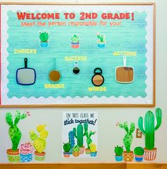 a bulletin board with cactus and succulents on it, including potted cacti