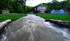 a river running through a lush green field