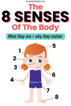 Our 8 senses of the body make sensory processing possible! Learn about how vision, hearing, taste, touch, smell, interoception, proprioception, and vestibular senses work together, and what to look for when a child has sensory processing disorder, ADHD, or Autism. Proprioceptive Activities, 8 Sense, Sensory System, Sensory Diet, Safety Awareness, Kids Sensory