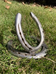 a pair of horseshoes laying in the grass