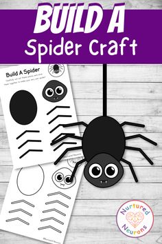 a spider craft with the words build a spider craft on it and an image of a spider