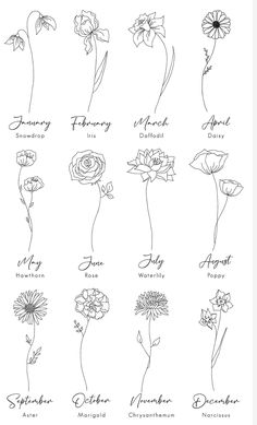 an image of flowers that are in english