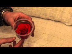 a person holding a glass with a red rose in it and another hand reaching for the cup