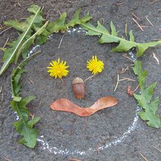 a smiley face made out of leaves and acorns on the ground next to flowers