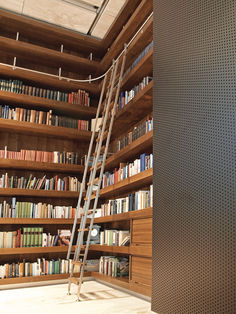 there is a ladder in front of the bookshelf