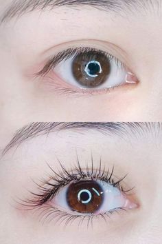 Mi Classic, Single Eyelash Extensions, Natural Looking Eyelash Extensions, Best False Lashes, Eyelash Natural, Silk Eyelash Extensions, Brown Eyes Aesthetic, Best Lash Extensions