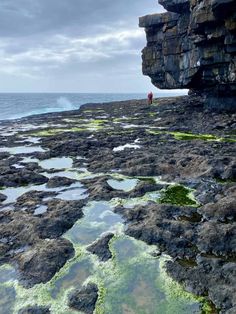 a man standing on top of a rocky beach next to the ocean with green algae