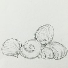 a pencil drawing of some kind of food