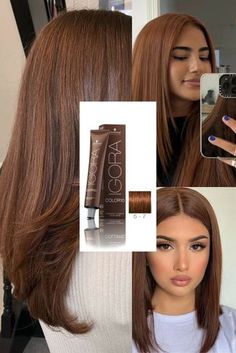 Copper Chocolate Hair, Chocolate Copper Hair Color, Copper Brown Highlights, Chocolate Copper Hair, Copper Brown Hair Color, Rambut Brunette, Honey Brown Hair, Brown Hair Inspo