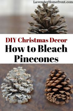 three pine cones with the words diy christmas decor how to bleach pinecones