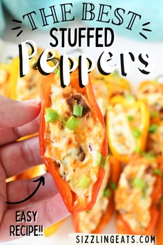 Sweet and savory stuffed peppers in a hand. Stuff Mini Peppers Appetizers, Dip For Mini Sweet Peppers, Recipes Using Mini Sweet Peppers, Cream Cheese Stuffed Peppers With Bacon, Bacon Wrapped Stuffed Peppers, Stuffed Mini Peppers Appetizers Cold, Stuffed Sweet Peppers Appetizer, Mini Peppers Stuffed With Cream Cheese, Stuffed Sweet Peppers Cream Cheese