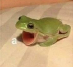 a green frog with it's mouth open and tongue out sitting on the floor