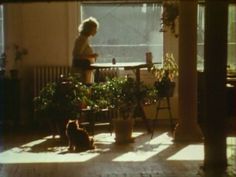 a woman standing at a table with potted plants in front of her and two cats sitting on the floor