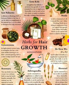 Herbalism Aesthetic, Moon Gemini, Benefits Of Herbs, Dream Herbs, Herbs For Hair Growth, Herbs For Hair, Medical Herbs, Ancient Recipes, Magic Herbs