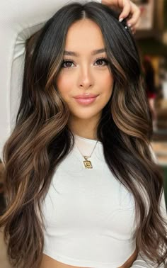 Garnier Hair Color, Balayage Hair Dark