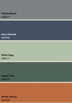 the shades of blue, green, and brown are shown in this color palettes