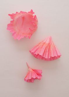 two pink seashells on a white surface