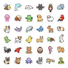 a bunch of different types of animals on a white background