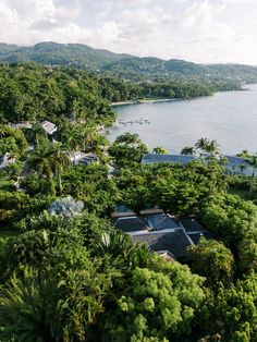 an aerial view of trees and houses near the water