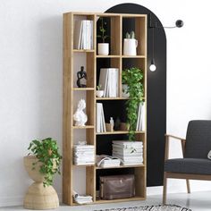 an open bookcase with plants and books on it in front of a black door