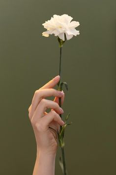 a person holding a white flower in their hand