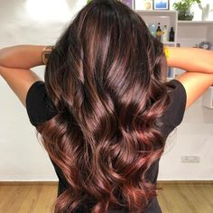 Dimensional Metallic Bronze and Chestnut Hair Cocoa Cinnamon Hair Color, Chestnut Brown Hair Dye, Hair Ideas For 2023, Dark Chestnut Hair, Red Highlights In Brown Hair, Brown Hair Ideas, Cinnamon Hair Colors, Hair Color Brown Chestnut