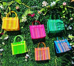 colorful handbags are lined up on the ground in front of green plants and flowers