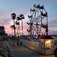 a ferris wheel sitting on top of a pier next to the ocean at sunset with palm trees