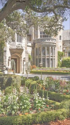 a large house with lots of plants in the front yard