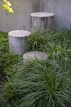 two concrete pedestals sitting in the middle of some grass and plants next to each other