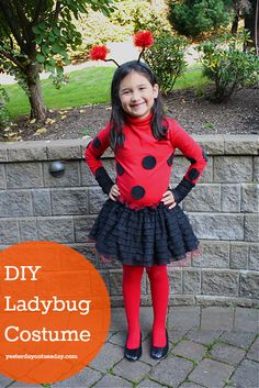 Diy Ladybug Costume, Diy Ladybug, Diy Halloween Costumes For Kids, Homemade Halloween Costumes