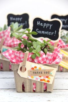 small pots filled with succulents sitting on top of a table