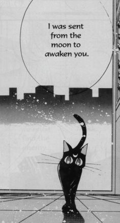 a black cat sitting on top of a window sill next to a sign that says i was sent from the moon to awake you