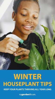 a woman holding a plant with the title winter houseplant tips keep your plants thriving all year long